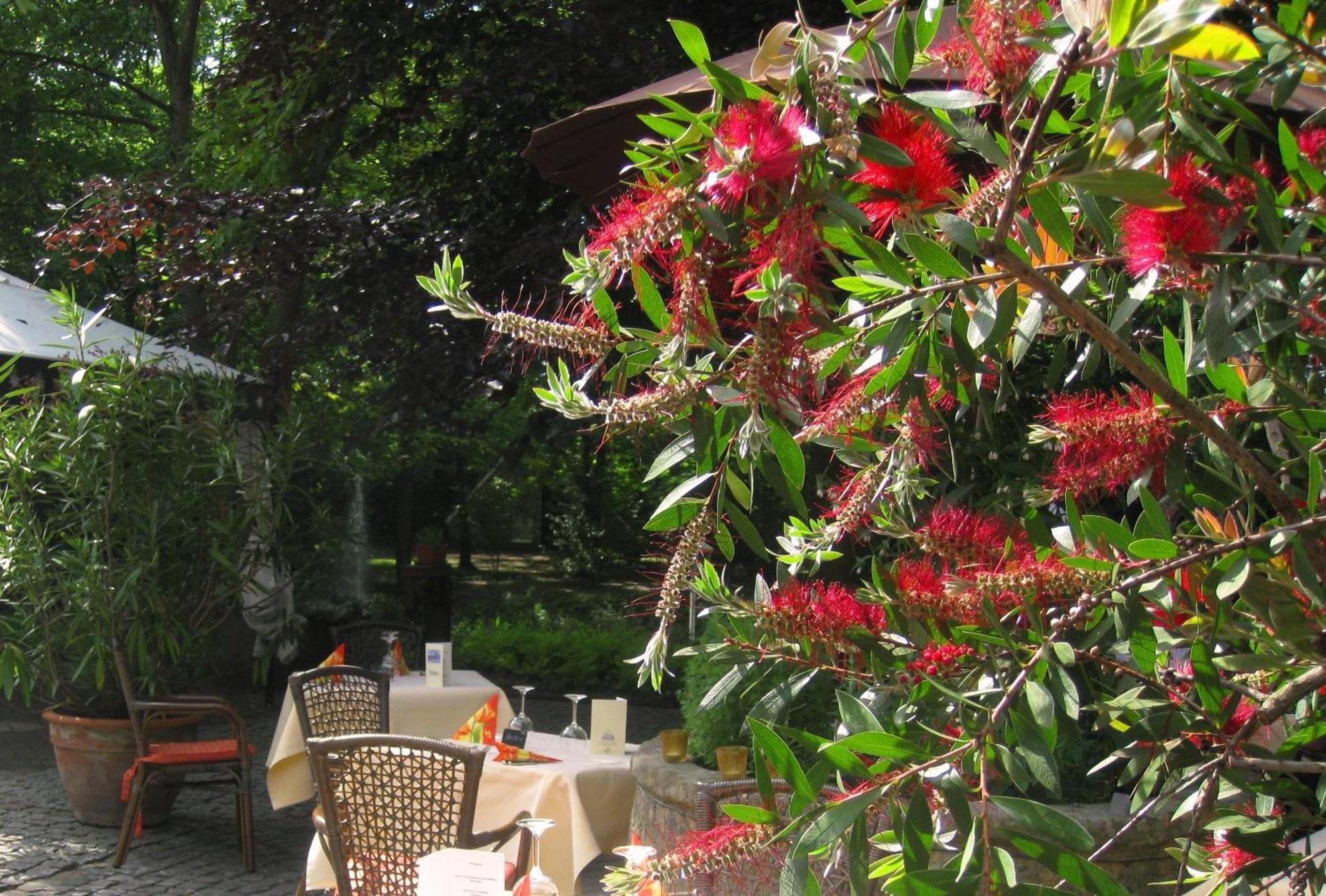 Landidyll Wilminks Parkhotel Neuenkirchen  Экстерьер фото
